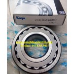 VÒNG BI 21310RZW33 C3